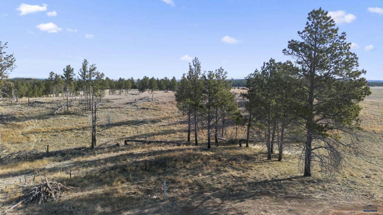 LOT 10 CUSTER HIGHLANDS, CUSTER, SD 57730, photo 1 of 14