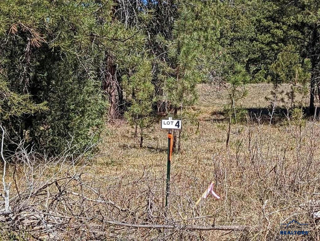 LOT 4 BATTLE MTN RD, HOT SPRINGS, SD 57747, photo 1 of 10