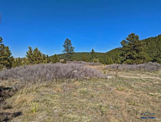 LOT 4 BATTLE MTN RD, HOT SPRINGS, SD 57747, photo 3 of 10