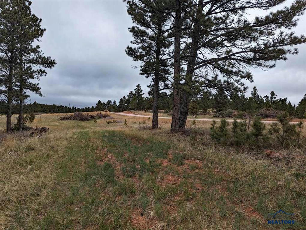 TBD LOT 7 ARGYLE RD, HOT SPRINGS, SD 57747, photo 1 of 6