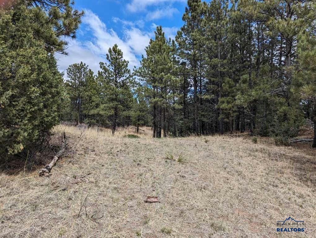 TBD LOT 4 ARGYLE RD, HOT SPRINGS, SD 57747, photo 1 of 5