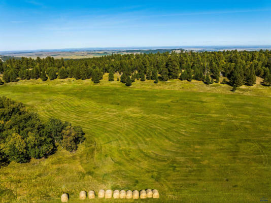 LOT 44 OTHER, WHITEWOOD, SD 57793 - Image 1