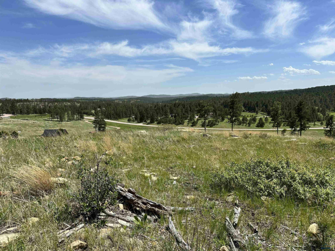 LOT 3D & 3C OTHER, KEYSTONE, SD 57751, photo 1 of 15