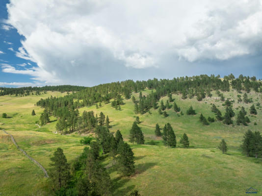 TBD COBB RD, CUSTER, SD 57730 - Image 1