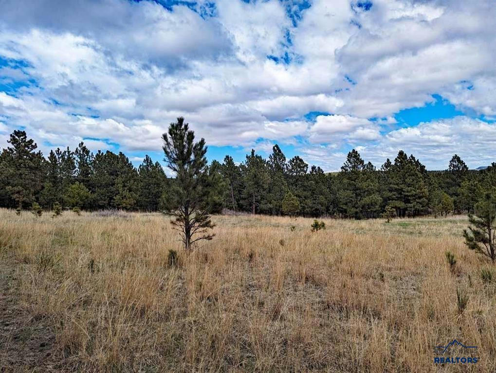 TBD LOT 2 ARGYLE RD, HOT SPRINGS, SD 57747, photo 1 of 5