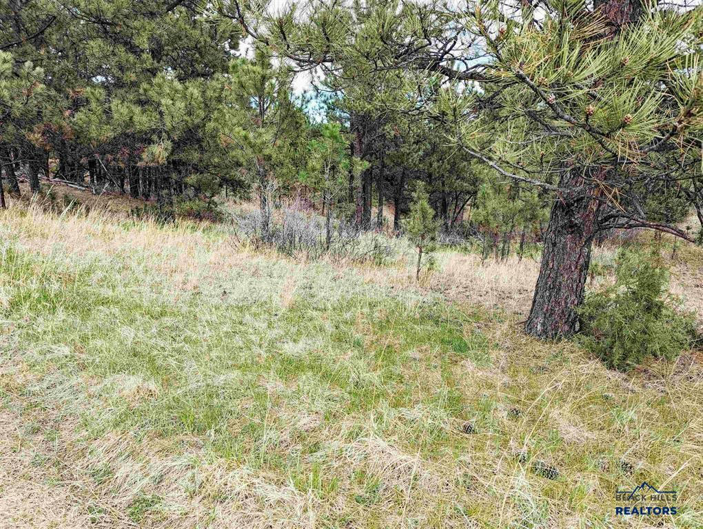 TBD LOT 3 ARGYLE RD, HOT SPRINGS, SD 57747, photo 1 of 4