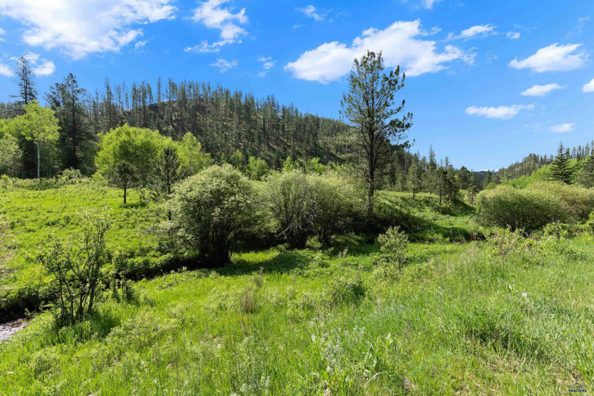 TBD SILVER CREEK RD, HILL CITY, SD 57745, photo 1 of 12