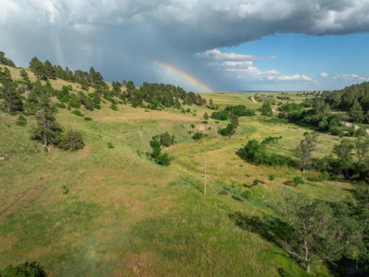 TBD COBB RD, CUSTER, SD 57730 - Image 1