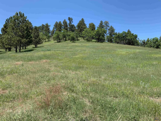 TBD LOT 34 PRAIRIE VIEW LOOP, WHITEWOOD, SD 57793, photo 4 of 14