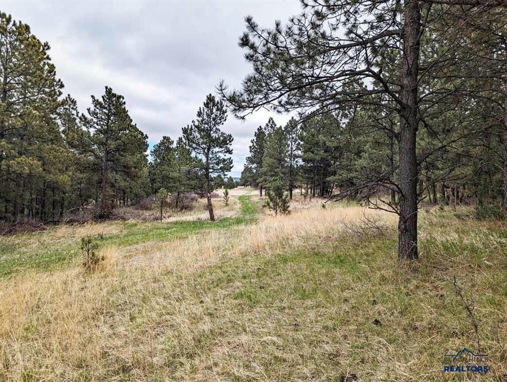 TBD LOT 5 ARGYLE RD, HOT SPRINGS, SD 57747, photo 1 of 7