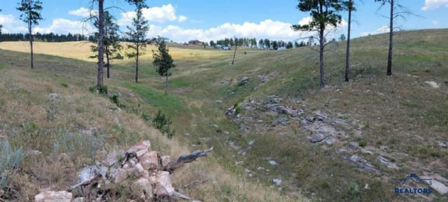 LOT 13 PINE SHADOWS RD, HOT SPRINGS, SD 57747, photo 2 of 13