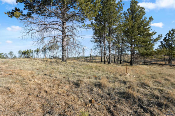 LOT 10 CUSTER HIGHLANDS, CUSTER, SD 57730, photo 2 of 14